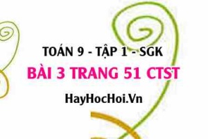Bài 3 trang 51Toán 9 tập 1 Chân trời sáng tạo